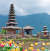Singles-Solos Bali adventure